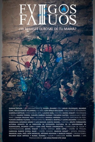 Poster do Filme Fuegos fatuos