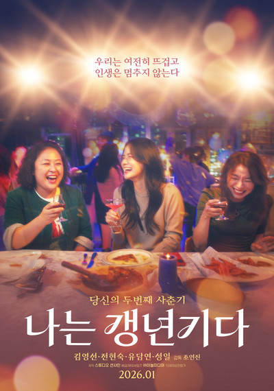 Poster do Filme 나는 갱년기다