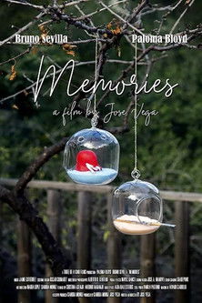 Poster do Filme Memories