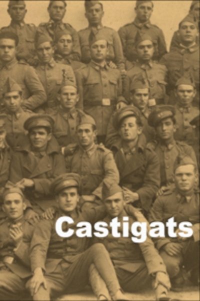 movie poster for Castigats