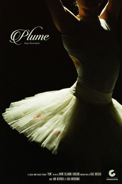 Poster do Filme Plume