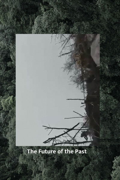 Poster do Filme The Future of the Past