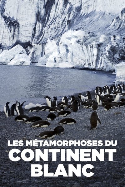 Les métamorphoses du continent blanc poster Les métamorphoses du continent blanc