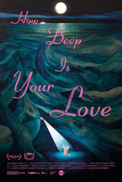 Poster do Filme How Deep Is Your Love