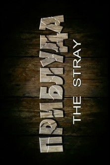 Poster do Filme Приблуда