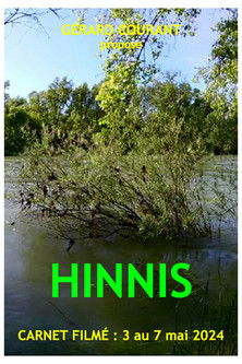 Poster do Filme Hinnis