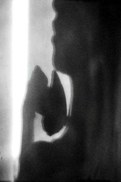 Poster do Filme Morpho