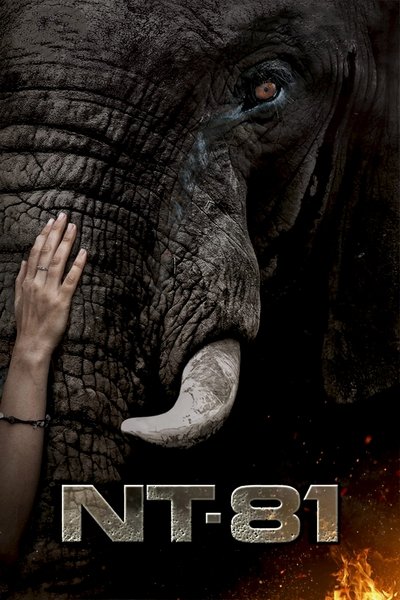 Poster do Filme NT81