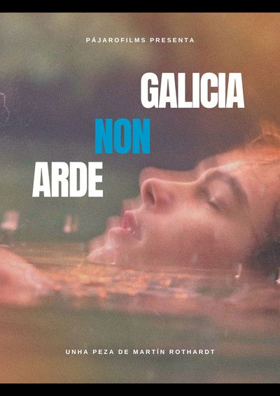 Poster do Filme GALICIA NON ARDE