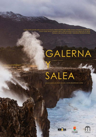 Poster do Filme Galerna y salea