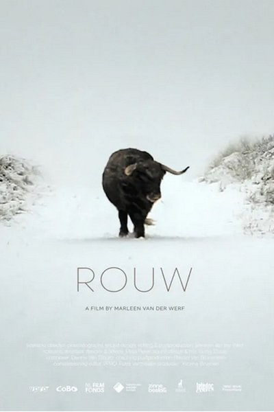 Poster do Filme Rouw