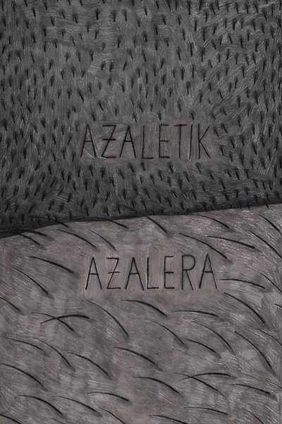 Poster do Filme Azaletik azalera