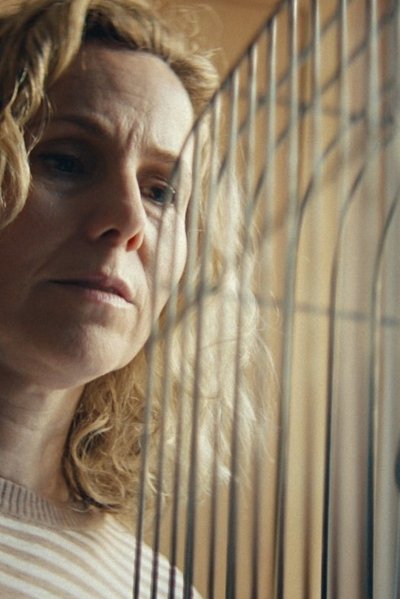 Watch!The Survivors Will Envy The Dead Full Movie Putlocker