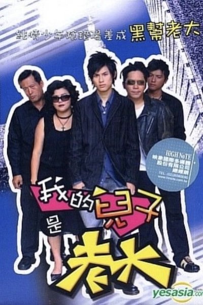 poster for 我的儿子是老大
