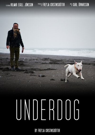 Poster do Filme Rjómi
