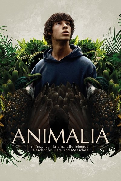Poster do Filme O Reino Animal
