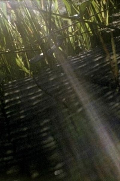 Poster do Filme The Visitation