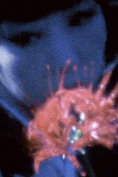 Poster do Filme 絶望アラベスク