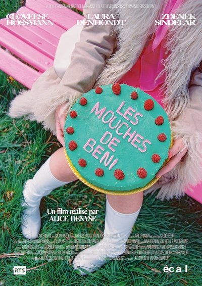 movie poster for Les Mouches de Beni
