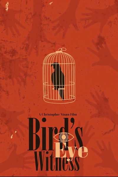 Poster do Filme Bird's Eye Witness