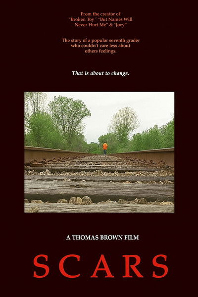 Poster do Filme Scars