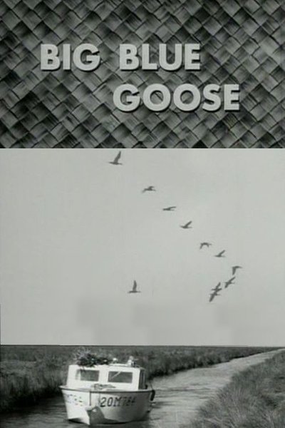 movie poster for Big Blue Goose