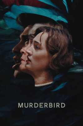 Poster do Filme MurderBird