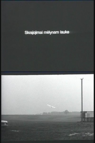 Poster do Filme Skrajojimai mėlynam lauke