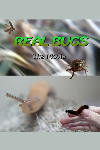 Poster do Filme Real Bugs: The Movie