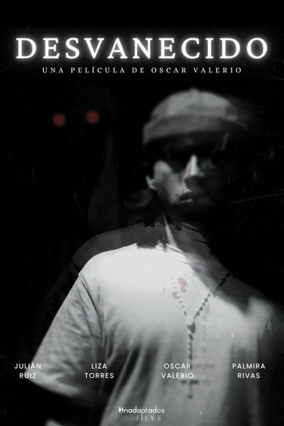 movie poster for DESVANECIDO