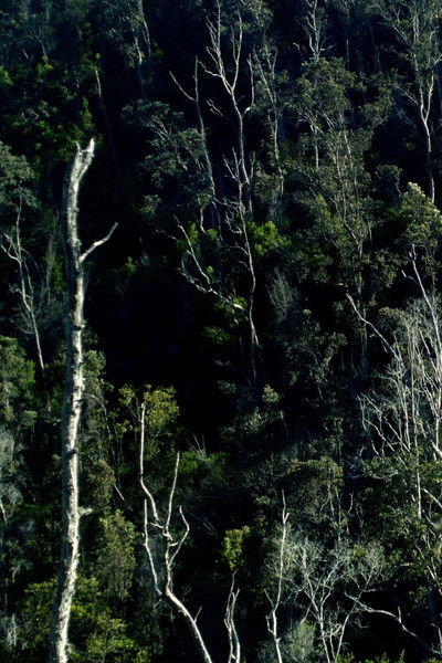 Poster do Filme the sky in our hands, our hands in the sky
