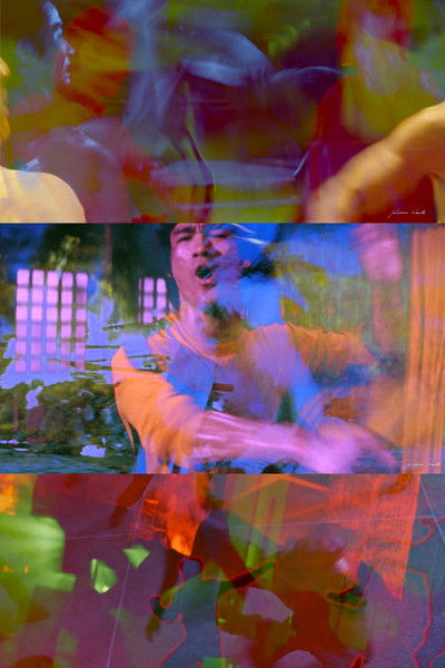 movie poster for Arts martiaux