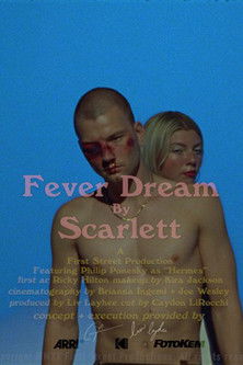 Poster do Filme Fever Dream