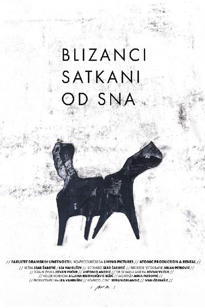Poster do Filme Blizanci satkani od sna