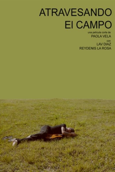 Poster do Filme Atravesando el campo