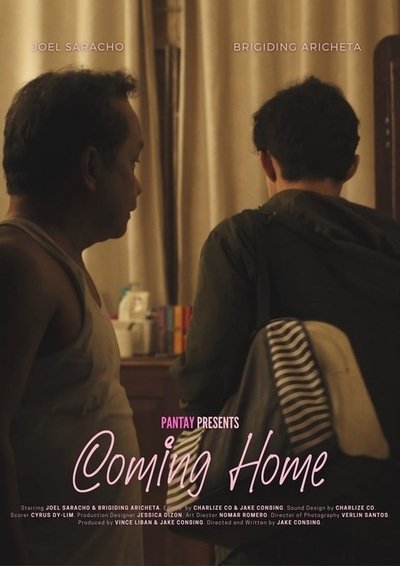 Poster do Filme Coming Home