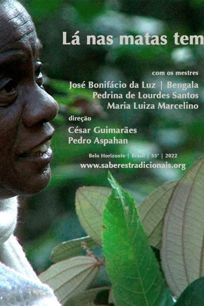 movie poster for Lá nas Matas Tem