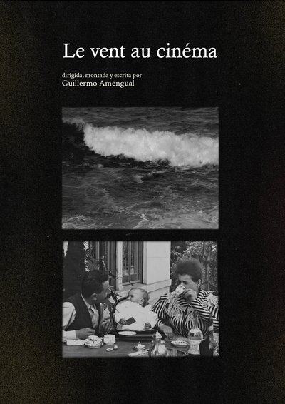 Poster do Filme Le vent au cinéma