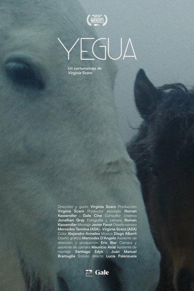 Poster do Filme Yegua