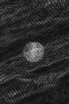 Poster do Filme Sadovnik