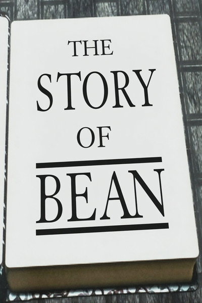 Poster do Filme The Story of Bean