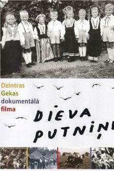 Poster do Filme Dieva putniņi