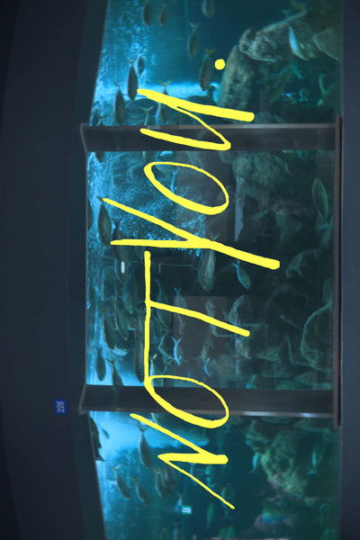 movie poster for NOT YOU.