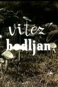 Poster do Filme Vitez bodljan