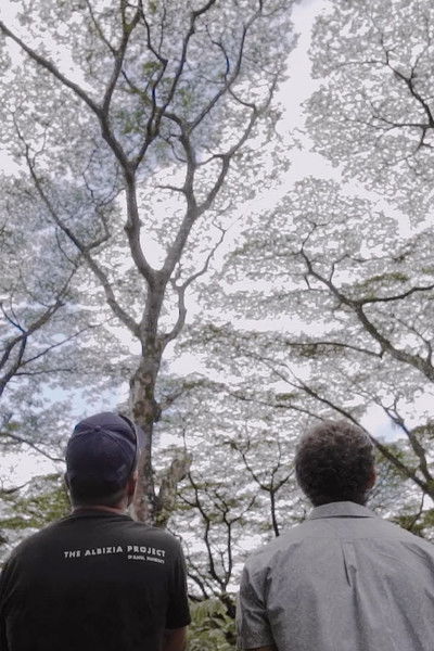 Poster do Filme Paradigm Now: The Albizia Project