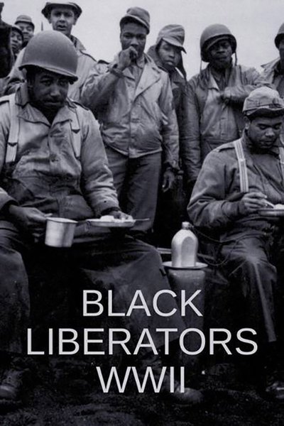 Poster do Filme Black Liberators WWII