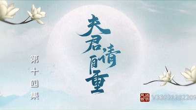 tv poster