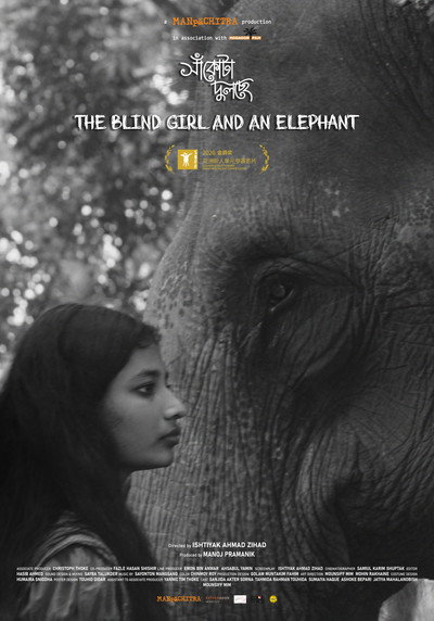 The Blind Girl and an Elephant