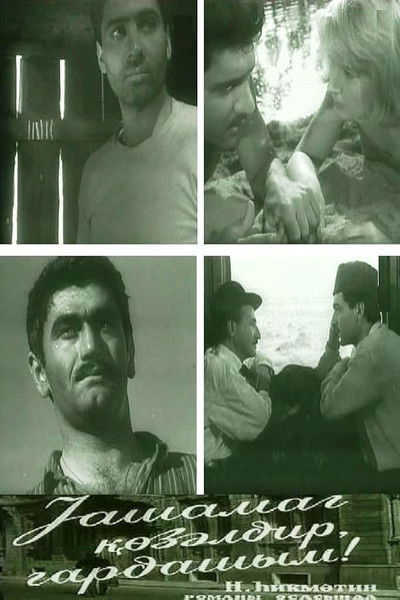 The Life is Beautiful, Brother!