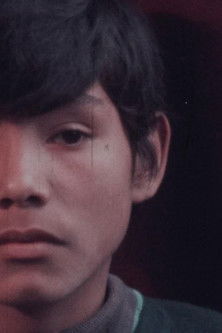 Poster do Filme Patagonia